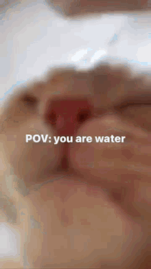 Cat Water GIF - Cat Water Meme GIFs