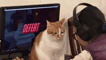 Defeat Defeated GIF - Defeat Defeated Cat GIFs