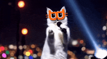 a cat wearing sunglasses and a mask with the letter u on it