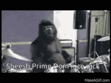 prime dom dom smith dominic smith gorilla