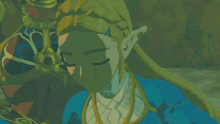 The Legend Of Zelda Breath Of The Wild Princess Zelda GIF