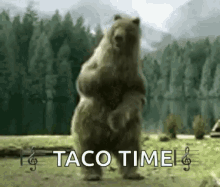 bear dance dancing lit get it happy dance taco time