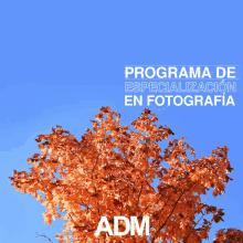 Adm Educacion GIF - Adm Educacion Fotografia GIFs