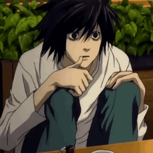 lawliet ryuzaki icon  Death note, Death note l, Cute anime guys