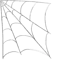 a black and white drawing of a spider web