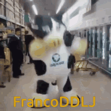 Franco Ddlj Franco GIF - Franco Ddlj Franco Cow GIFs