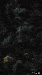 an animated image of a person 's hands with the word misama on the bottom