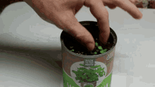 Plant In A Can GIF - Can Planting Plants GIFs