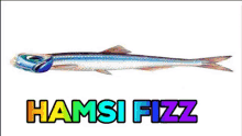 Hamsi Hamsifizz GIF - Hamsi Hamsifizz Fizz GIFs