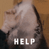 a person is holding a piece of paper with the word help written on it