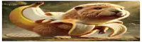 a cartoon hamster is holding a banana in its mouth
