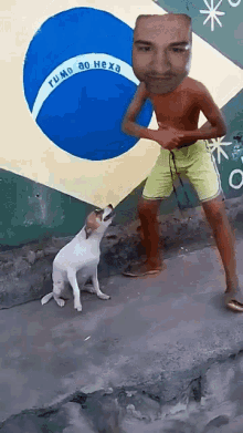 webmant dancing dog brazil