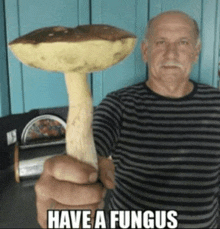 Fungus GIF