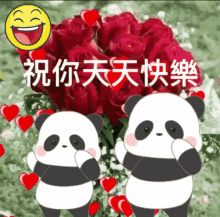 Panda Happy GIF - Panda Happy Dance GIFs