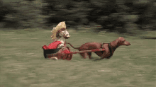 Onward Noble Steed! GIF - Dog Chariot Roman GIFs