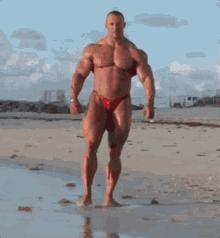 bodybuilder poser muscle