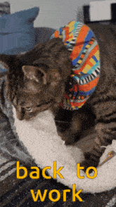 a cat wearing a colorful collar is laying on a bed with the words back to work written on it