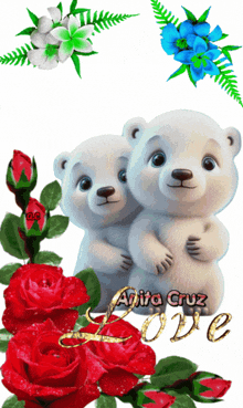 a couple of teddy bears hugging each other with the words anita cruz love