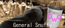 Snuffy GIF - Snuffy GIFs