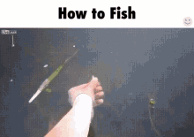 fish fishing like a boss bare hands bait