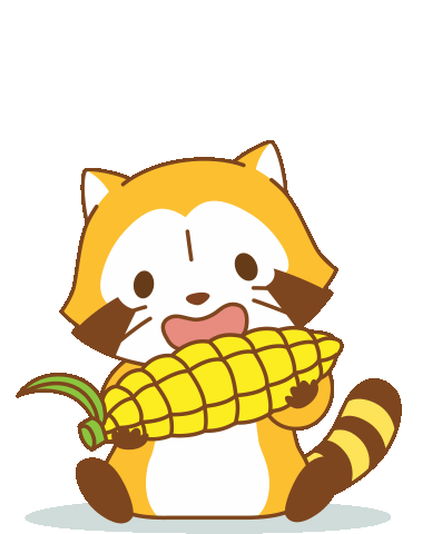 Corn Raccoon Sticker - Corn Raccoon Stickers