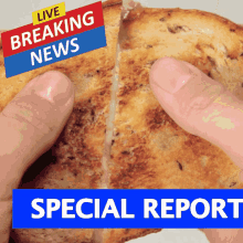 Grilled Cheese Grilled Cheese Report GIF - Grilled Cheese Grilled Cheese Report Elevven GIFs