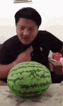 Insect33 Chino GIF - Insect33 Chino Sandia GIFs