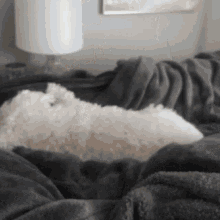 Back To GIF - Back To Bed GIFs