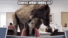 Hump Day Wednesday GIF - Hump Day Wednesday Camel GIFs