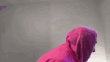 Pinkguy Raysipe GIF