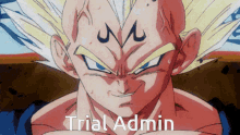 Admin Trial Admin GIF - Admin Trial Admin Vegeta GIFs