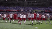 New York Red Bulls N Yis Red GIF - New York Red Bulls N Yis Red Southward GIFs