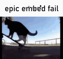 epic embed fail cat cat skateboard get real