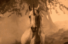 Unicorns GIF - Unicorns Majestic Real GIFs
