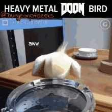Aww Yisss Drums Metal Bird GIF - Aww Yisss Drums Metal Bird Rock On GIFs