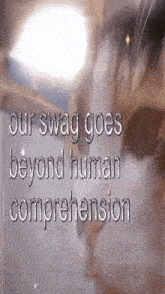 a cat with the words our swag goes beyond human comprehension