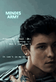 shawn mendes in my blood mendes army not giving up