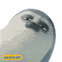 a seal with its eyes closed and a yellow sealok sticker below it