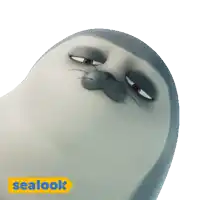 a seal with its eyes closed and a yellow sealok sticker below it