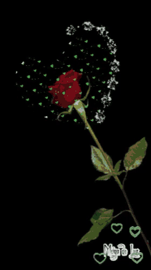 Red Rose GIF - Red Rose Love GIFs