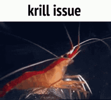 Krill Issue GIF