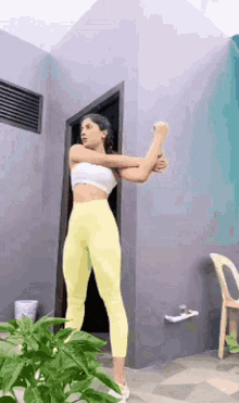 Workout Exercise GIF - Workout Exercise Fitness GIFs