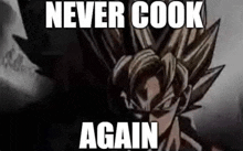 a picture of a dragon ball z character with the words `` never cook again '' on it .