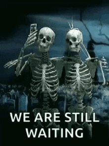 for my brother to move out we are still waiting skeleton camera