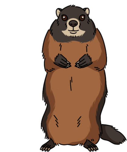 Woodchuck Groundhog Sticker - Woodchuck Groundhog Stickers