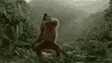Happy Gorilla GIF - Happy Gorilla Monkey GIFs