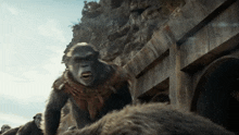 Planet Of The Apes Proximus Caesar GIF - Planet Of The Apes Proximus Caesar Fight GIFs