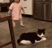 Cat Child GIF - Cat Child Tripping GIFs