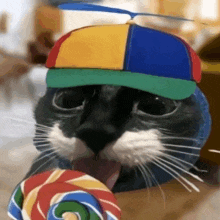 Cat Lollipop GIF - Cat Lollipop Propeller Hat GIFs
