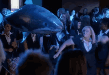 Punch The Shark GIF